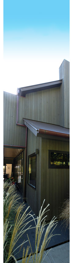 Parnell Cedar Weatherboard Reclad